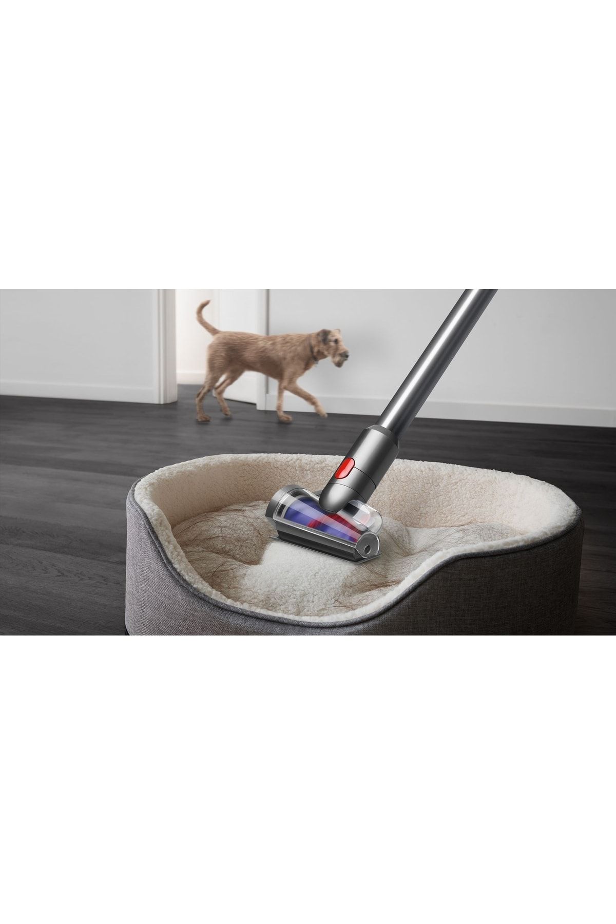 Dyson V15 Detect  Kablosuz Süpürge