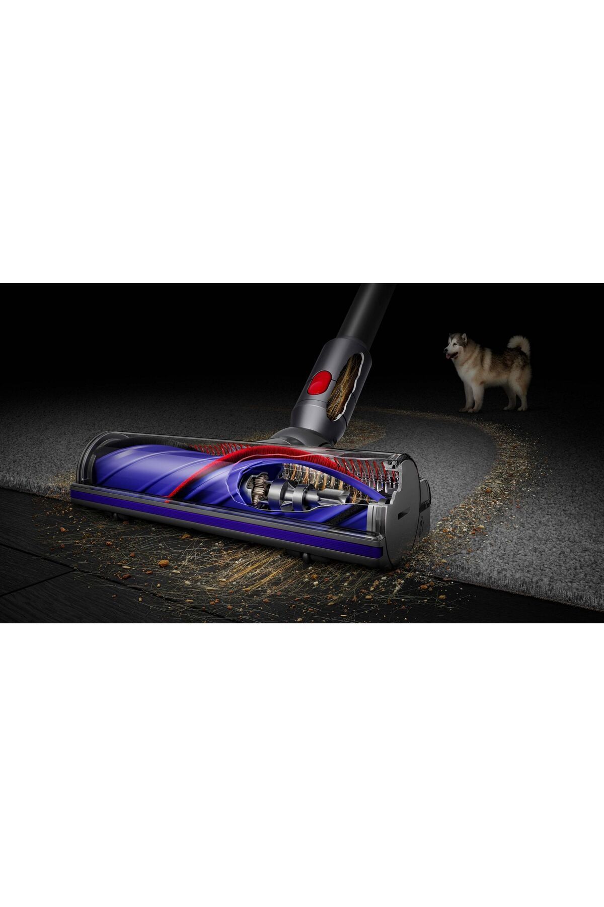 Dyson V8 Kablosuz Süpürge